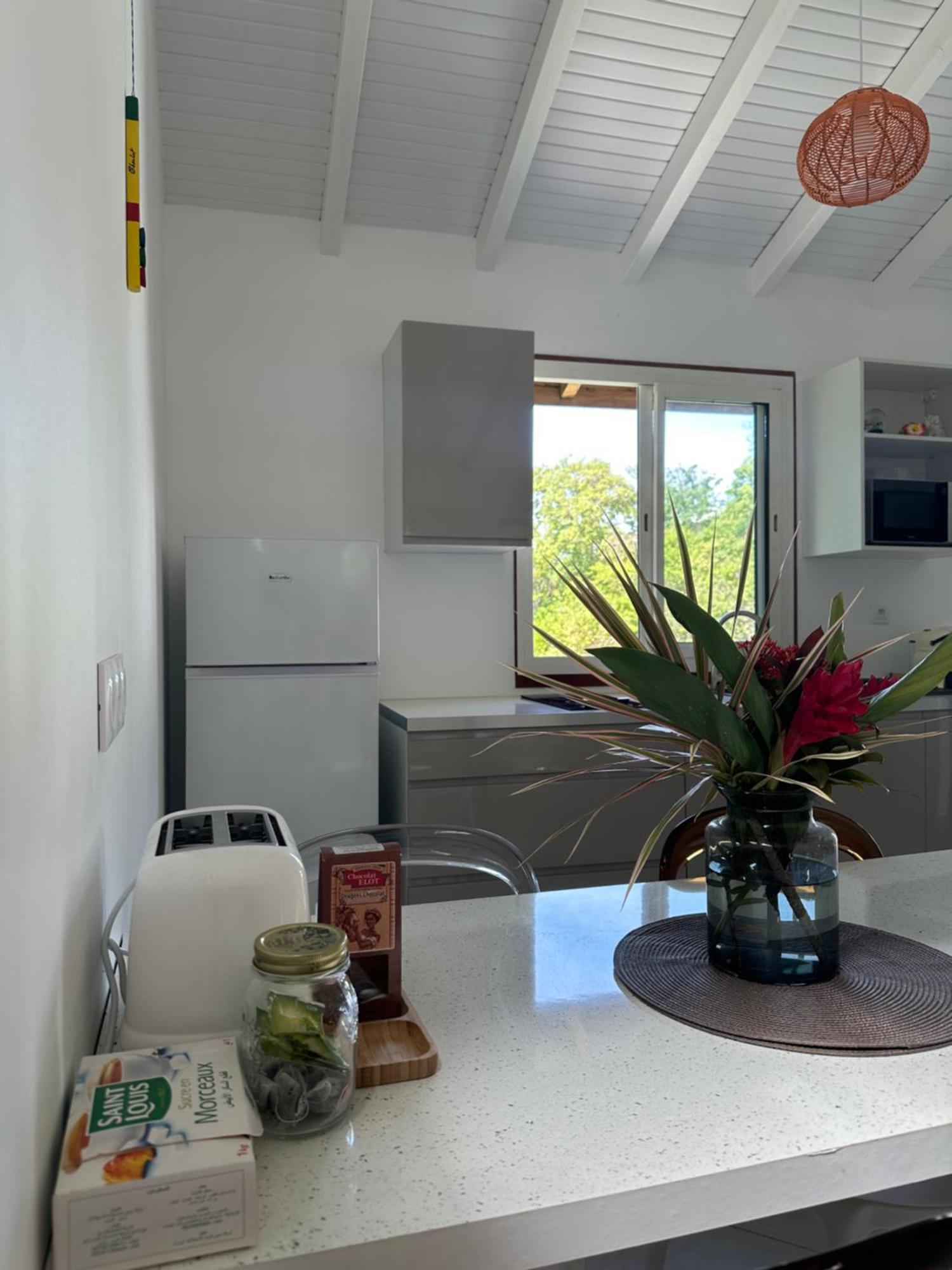 Bungalow Ixora Les Abymes Ngoại thất bức ảnh